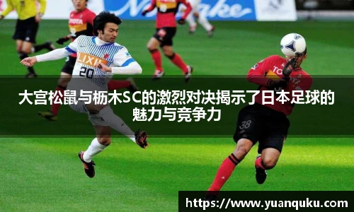 好体育